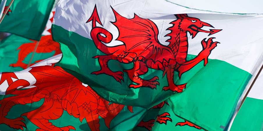 A red dragon on a green and white flag

Description automatically generated