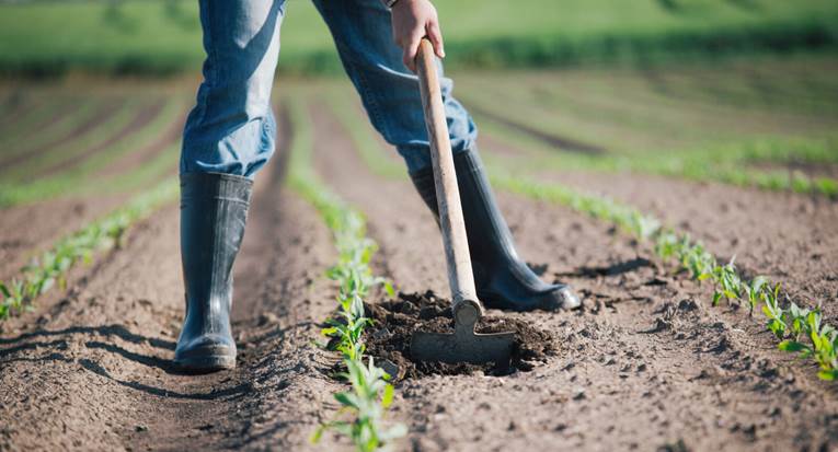 A person digging in the dirt
Description automatically generated