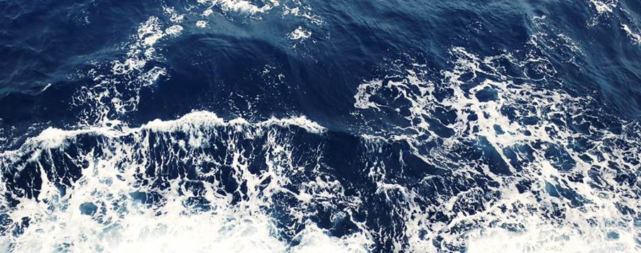 A wave in the ocean
Description automatically generated with low confidence